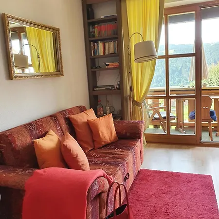 Gemuetliche Mit Blick Auf Donau 公寓